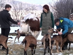 Прокупље: Мама са тројицом синова храбро кроз живот