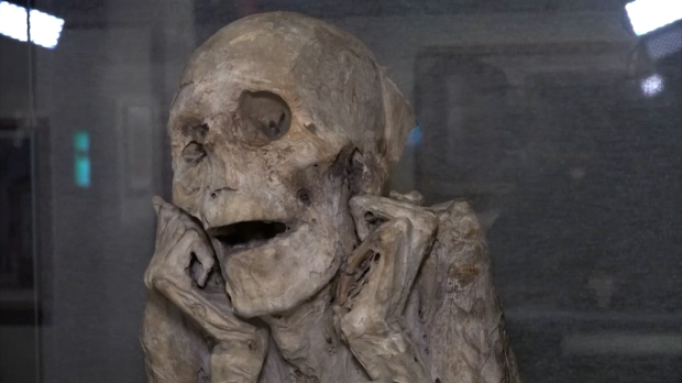 Фасцинантна историја мумија у Музеју човека у Паризу