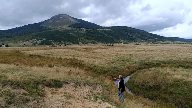 Купрес отета земља