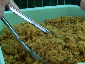 Чварци скупљи од пршуте