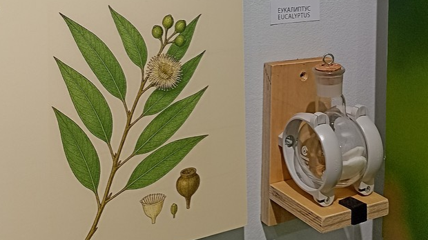 Корак ка науци