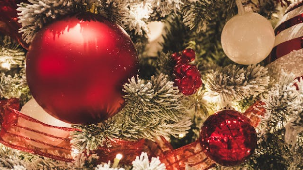 Новогодишњи програм