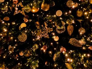 Избор из концертне сезоне у Студију 6