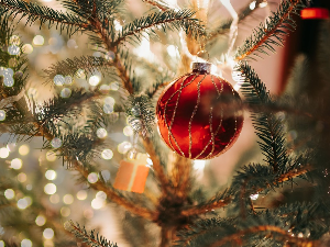 Новогодишњи програм 