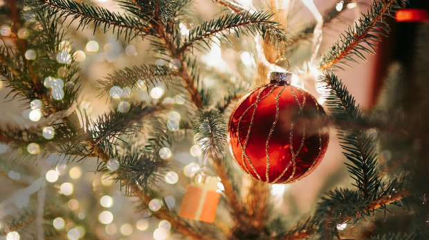 Новогодишњи програм 