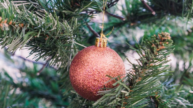 У сусрет 2026. години