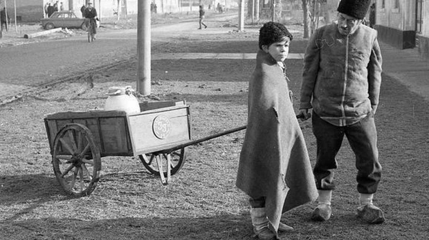 Заводљива телевизија: Салаш у Малом Риту