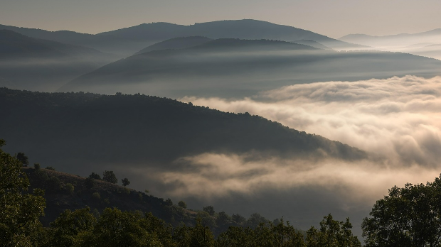 Винил – „Магла паднала“ , Милан Тимотић