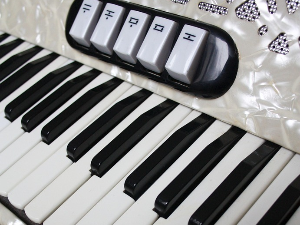 Век хармонике – Интерпретације Волфганга Диметрика