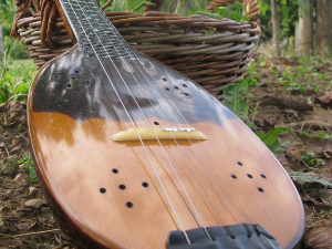 Тамбурица златна жица