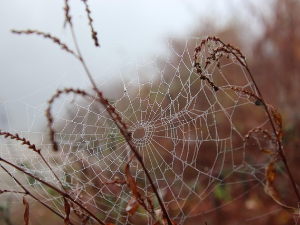 Облачно, са слабом кишом – понегде због магле видљивост испод 200 метара