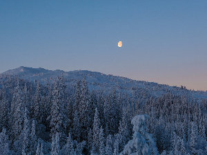 Зимска краткодневица стиже раније: Србију у уторак и среду обавија мрак пре 16 часова