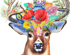 Клик: Русија 4