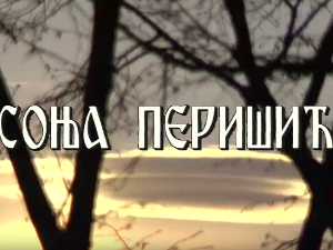 Лети, лети песмо моја мила: Постер Соње Перишић