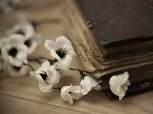  Избор лирских песама из репертоара Миодрага Поповића и Дивне Ђоковић