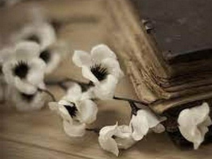 Милан Лукић: ,,Реци да ме волиш“