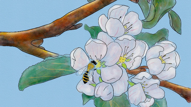 Добро јутро децо: Свети Сава и ђаци