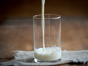 Након пријава ванредно контролисане млекаре – какво млеко заправо пијемо