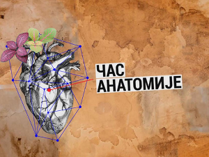   Час анатомије : Улазак у таму