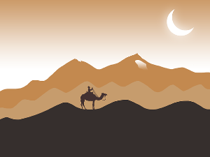 Хумористичка емисија