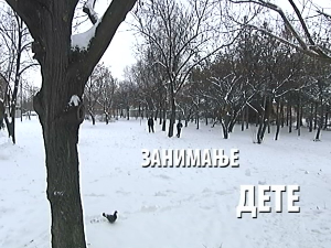 Занимање дете:	Лав Вишковић