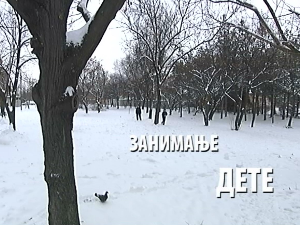 Занимање дете:	Сара Шпирић