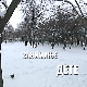 Занимање дете:	Тара Пухало