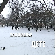 	Занимање дете:	Изабела и Момир