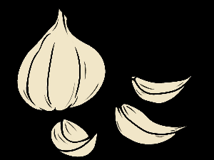 Авантуре црва Пере: Бели лук