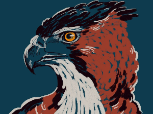 Добро јутро децо: Соко доброг срца