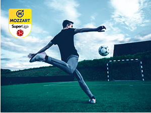 Одложена утакмица између Радничког и Чукаричког 