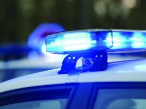 Ухапшен осумњичени за убиство мушкарца у шуми код Сопота