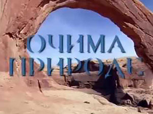 Очима природе: Одржива архитектура