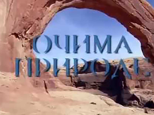 Очима природе: Игра светла и таме