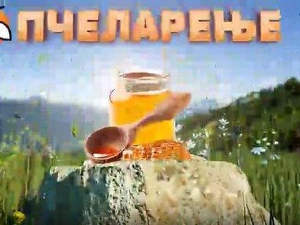 Еко минијатуре: Пчеларење