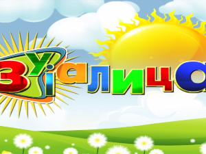 Зујалица	ц.11 ем.03