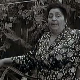 Умукли дефови