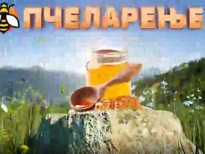 Еко минијатуре: Пчеларење - пестициди и нестанак пчела
