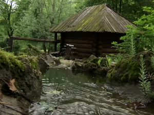 Корачај за децу НУРДОР-а