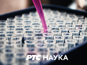 Београдско благо: Легат Црњански