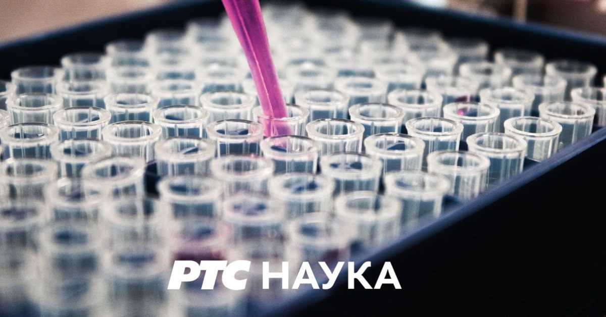 Београдско благо: Легат Црњански Београдско благо: Легат Црњански