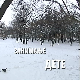 Занимање дете:	Ана Поповић
