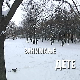 Занимање дете: Анђела Панчевачки