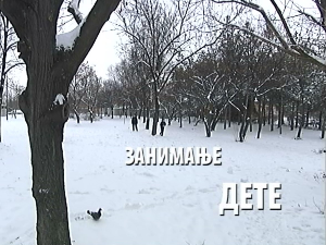 Занимање дете: Анђела Панчевачки