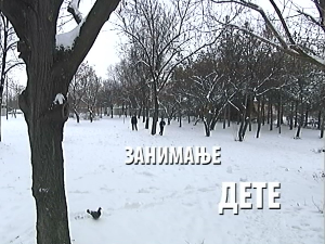 Занимање дете: Ибрахим Бајрам