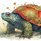 Корњача и крила