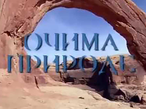 Очима природе:	Игра светла и таме