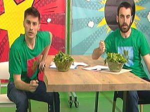 Хемија разбија митове:	Глутен