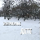 Занимање дете:	Андреј Ђурић