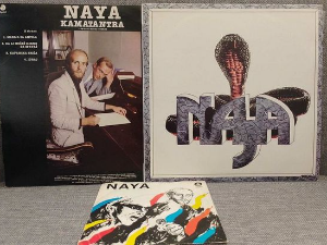Група NАYА